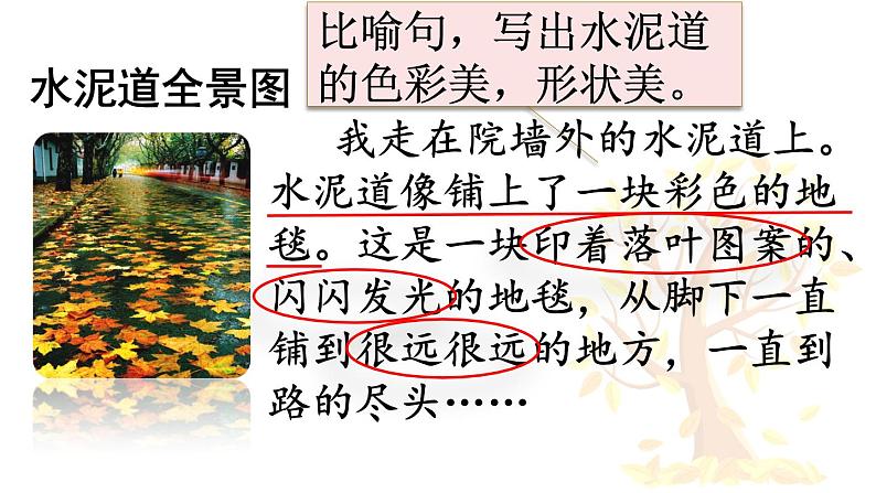 统编版(2024)三年级语文上册5铺满金色巴掌的水泥道第2课时课件1第5页
