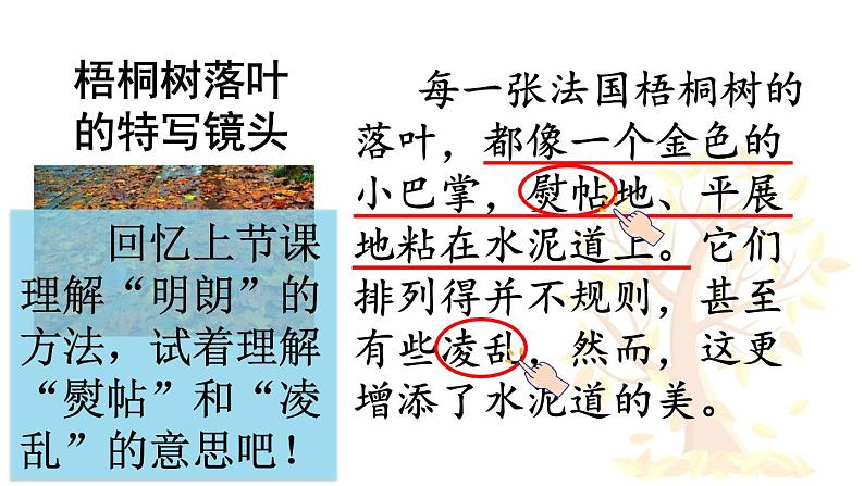 统编版(2024)三年级语文上册5铺满金色巴掌的水泥道第2课时课件1第6页