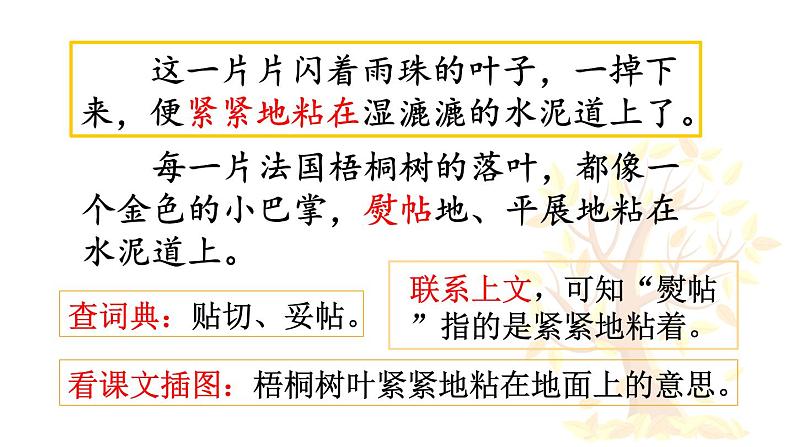 统编版(2024)三年级语文上册5铺满金色巴掌的水泥道第2课时课件1第7页