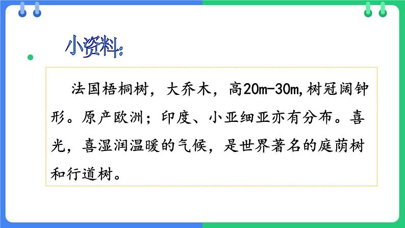 统编版(2024)三年级语文上册5铺满金色巴掌的水泥道课件1第3页