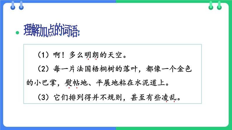统编版(2024)三年级语文上册5铺满金色巴掌的水泥道课件1第6页