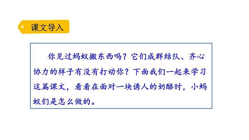 统编版(2024)三年级语文上册11一块奶酪课件7第2页