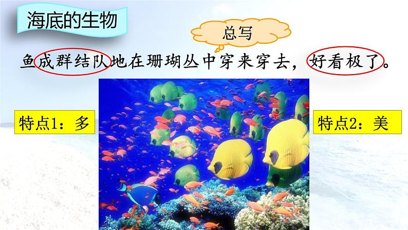 统编版(2024)三年级语文上册18富饶的西沙群岛第2课时课件1第3页