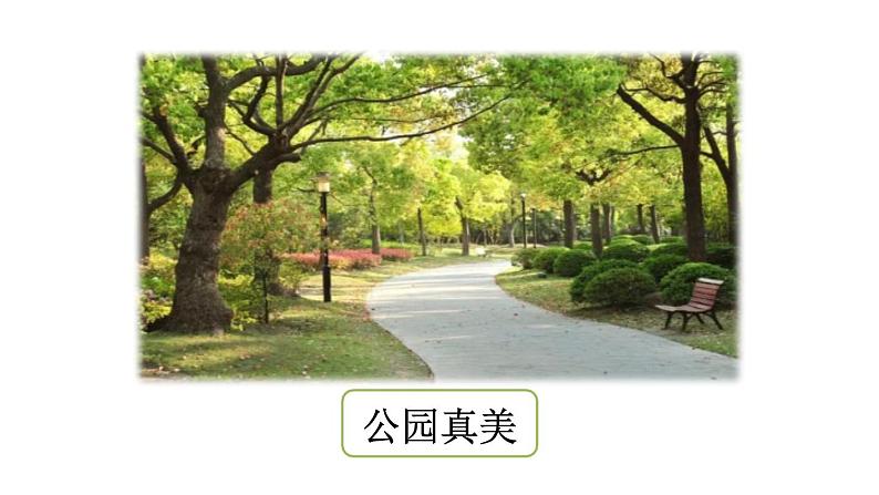 统编版(2024)三年级语文上册习作:这儿真美课件104
