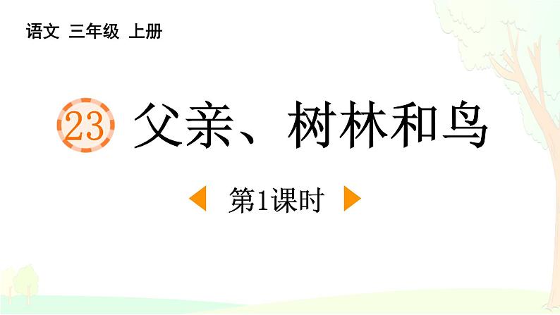 统编版(2024)三年级语文上册23父亲、树林和鸟第1课时课件101