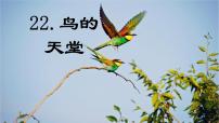 语文五年级上册鸟的天堂备课课件ppt