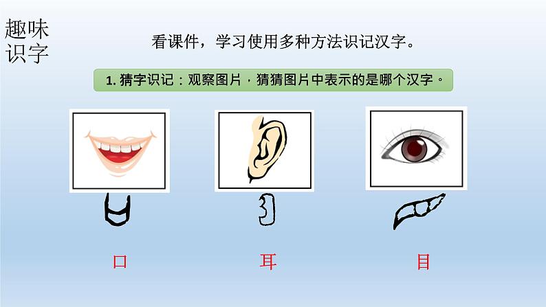 小学语文新部编版一年级上册 第一单元第三课《口耳目手足》第一课时教学课件(2024秋)第6页