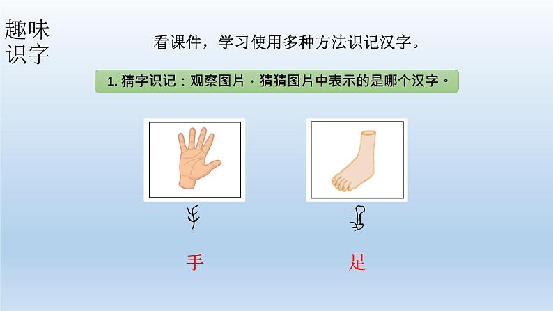 小学语文新部编版一年级上册 第一单元第三课《口耳目手足》第一课时教学课件(2024秋)第7页