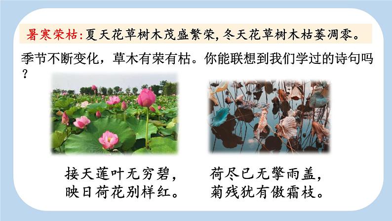 《读不完的大书》新课标课件(第二课时)第5页