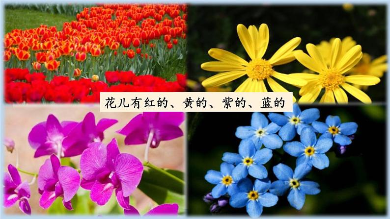 《读不完的大书》新课标课件(第二课时)第6页