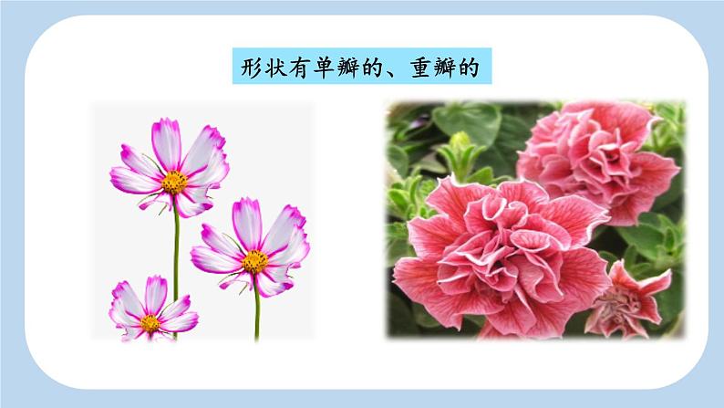 《读不完的大书》新课标课件(第二课时)第7页