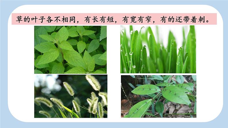 《读不完的大书》新课标课件(第二课时)第8页