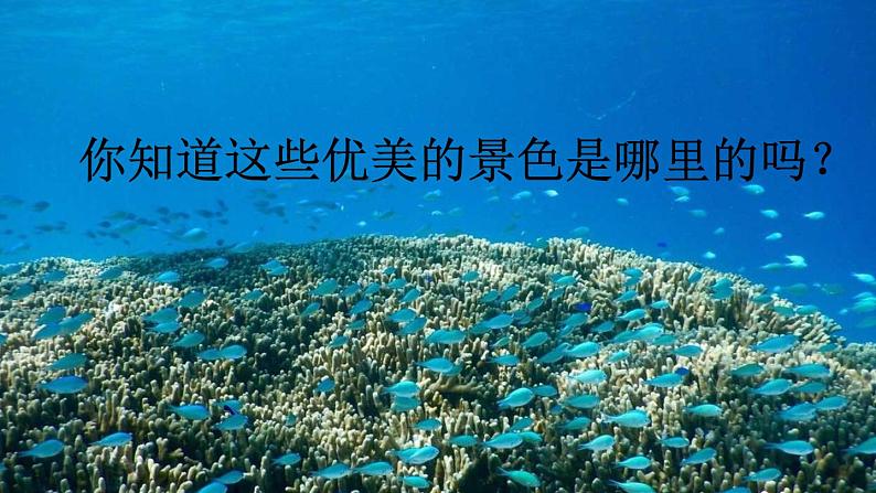 《富饶的西沙群岛》优质课件(第一课时)第2页