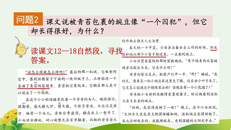 统编版(2024)四年级语文上册5一个豆荚里的五粒豆第2课时课件1第6页