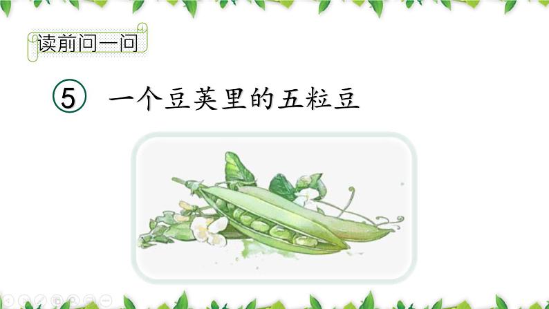 统编版(2024)四年级语文上册5一个豆荚里的五粒豆课件2第3页