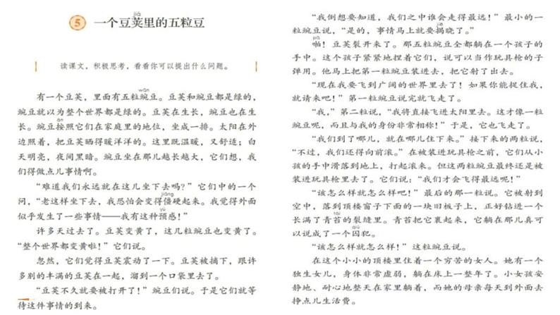 统编版(2024)四年级语文上册5一个豆荚里的五粒豆课件2第6页