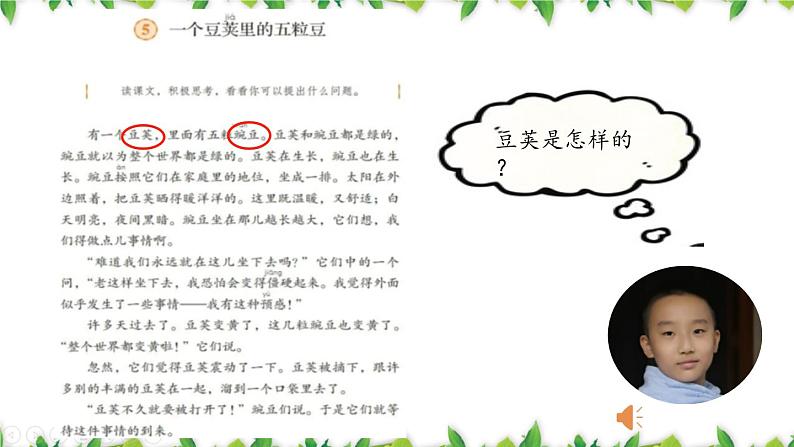 统编版(2024)四年级语文上册5一个豆荚里的五粒豆课件2第8页