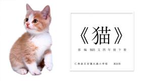统编版（2024）四年级下册猫课堂教学课件ppt