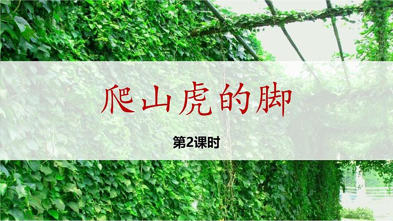 统编版(2024)四年级语文上册10爬山虎的脚第2课时课件3第1页