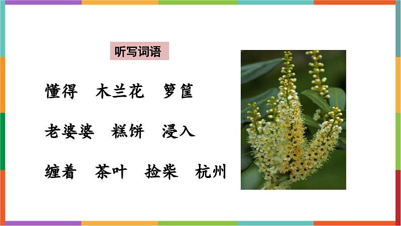 统编版(2024)五年级语文上册3桂花雨课件206