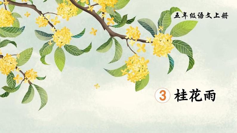 统编版(2024)五年级语文上册3桂花雨课件5第1页