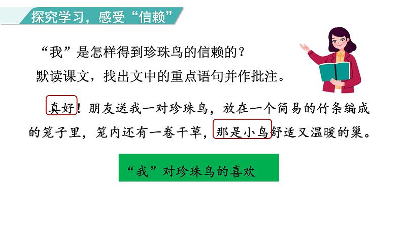 统编版(2024)五年级语文上册4珍珠鸟课件3第7页