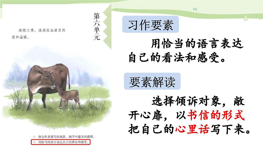 統(tǒng)編版（2024）五年級(jí)語(yǔ)文上冊(cè)習(xí)作：我想對(duì)您說(shuō)課件2第3頁(yè)