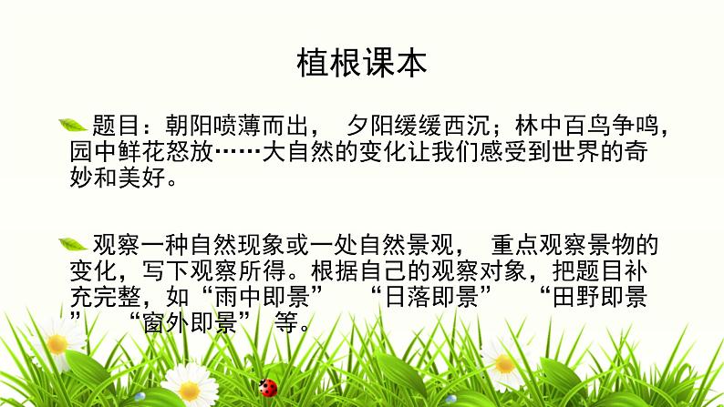 统编版(2024)五年级语文上册习作:_____即景课件102