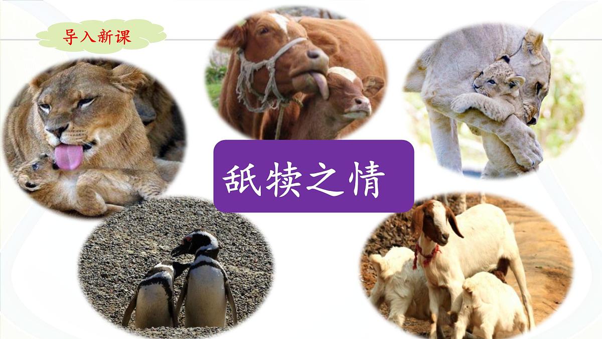五上《语文园地六》名师课件第2页