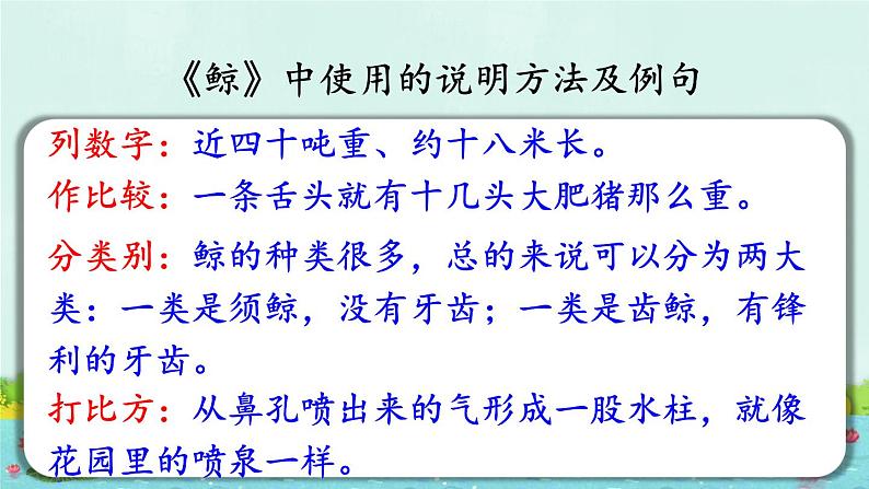 《习作例文 《鲸》《风向袋的制作》》教学课件1(第三课时)04