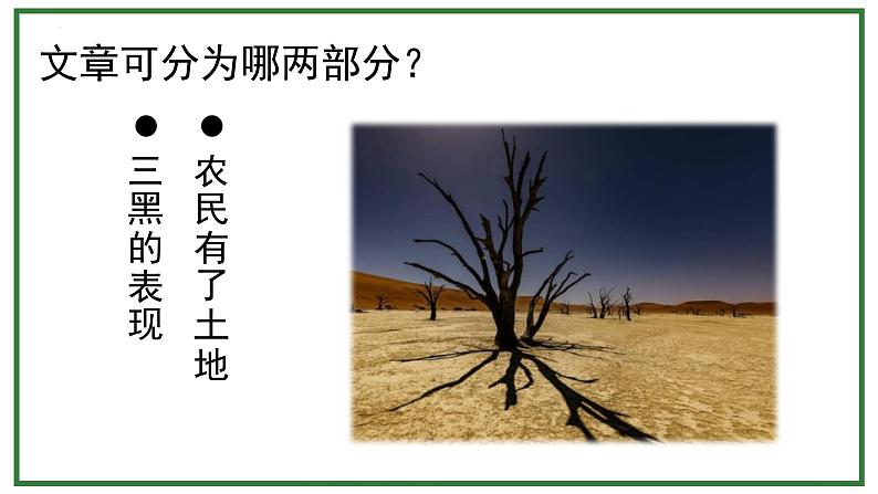 统编版(2024)六年级语文上册21三黑和土地课件5第3页