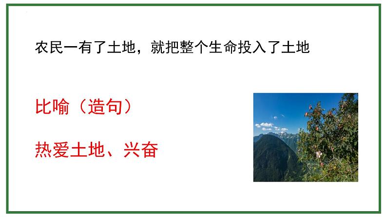 统编版(2024)六年级语文上册21三黑和土地课件5第4页