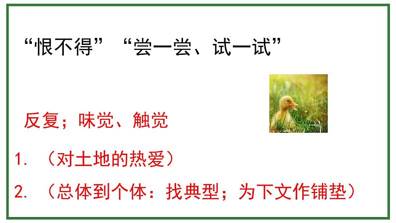 统编版(2024)六年级语文上册21三黑和土地课件5第5页