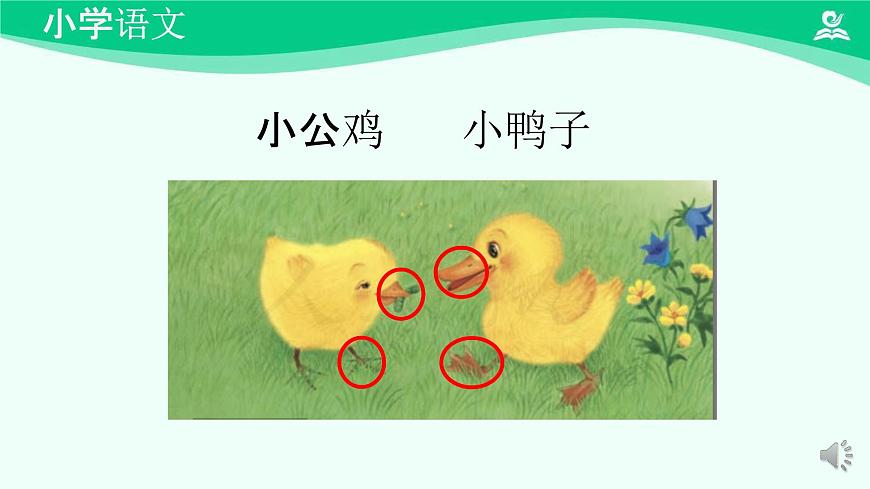 小公雞和小鴨子 課件 第一課時-2024-2025學(xué)年度小學(xué)一年級語文下冊 統(tǒng)編版(2024)第2頁