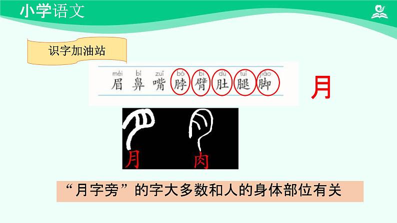 语文园地四 课件 第一课时-2024-2025学年度小学一年级语文下册 统编版(2024)第6页