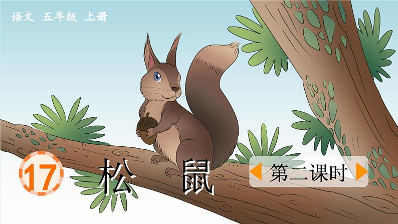 《松鼠》优质课件(第二课时)01