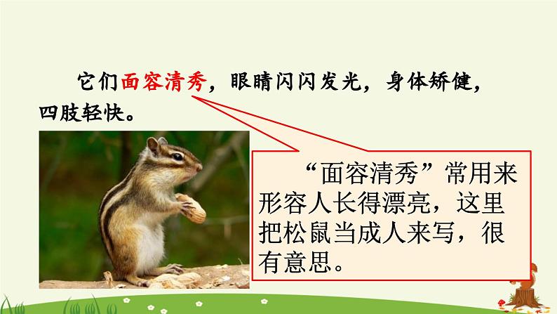 《松鼠》优质课件(第二课时)03