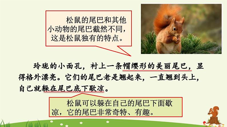 《松鼠》优质课件(第二课时)04