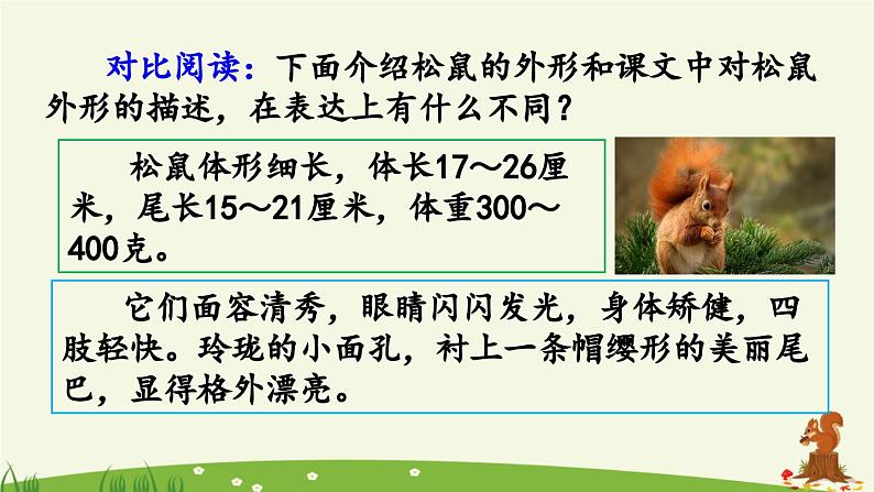 《松鼠》优质课件(第二课时)06
