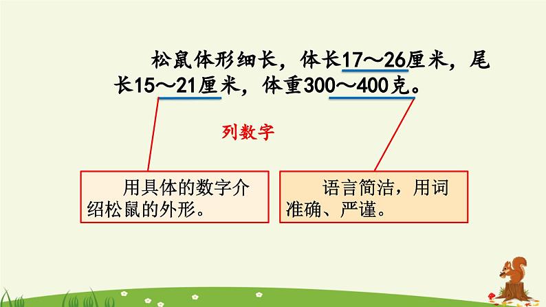 《松鼠》优质课件(第二课时)07