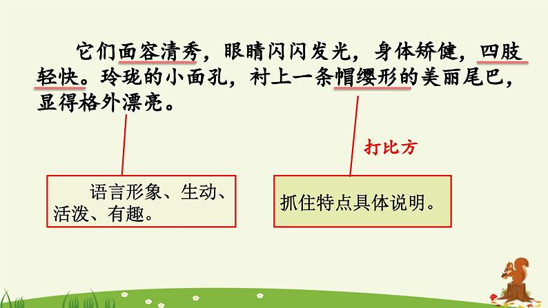 《松鼠》优质课件(第二课时)08