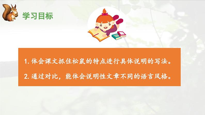 《松鼠》优秀课件(第二课时)第2页