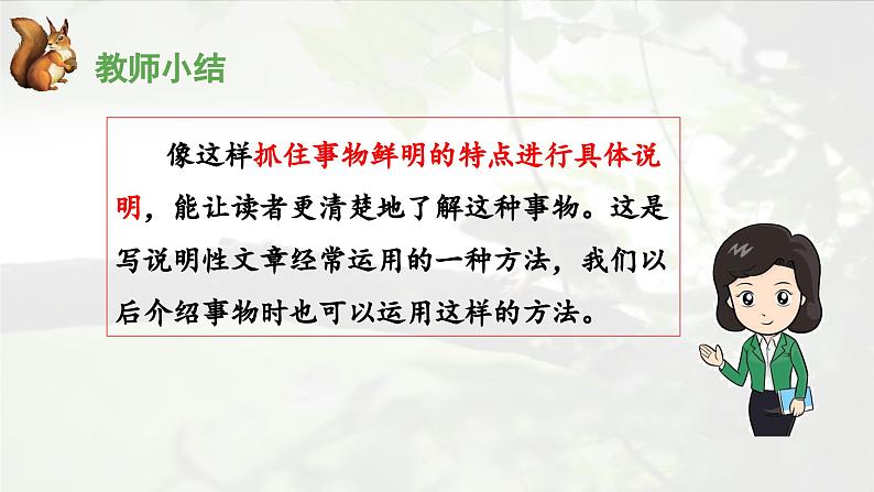 《松鼠》优秀课件(第二课时)第5页