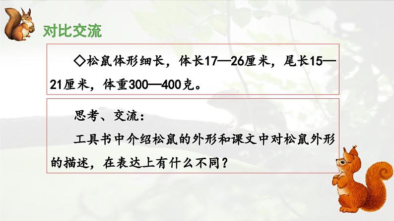 《松鼠》优秀课件(第二课时)第6页