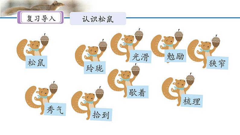 《松鼠》名师课件(第二课时)第2页