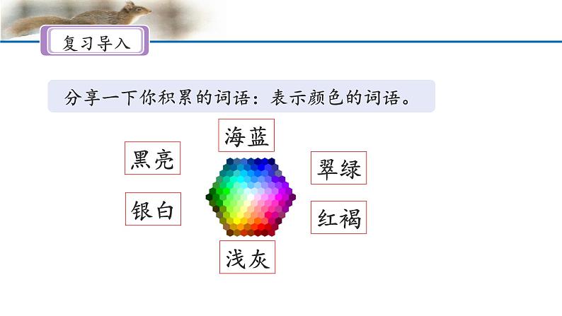 《松鼠》名师课件(第二课时)第3页