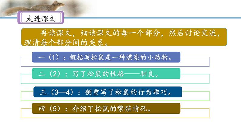《松鼠》名师课件(第二课时)第4页