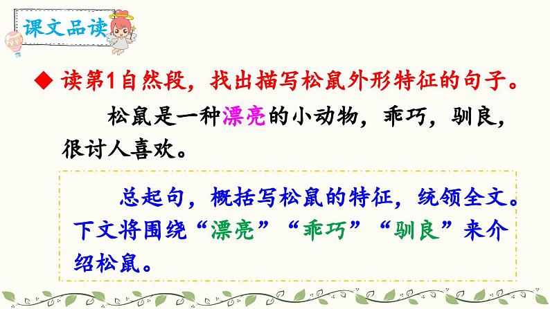 《松鼠》教学课件2(第二课时)第3页