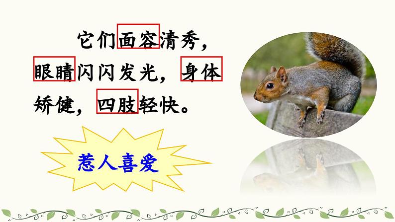 《松鼠》教学课件2(第二课时)第4页