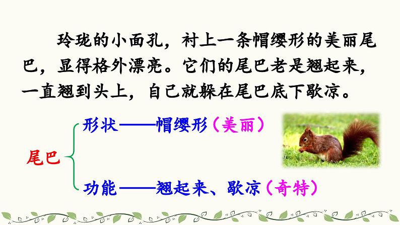 《松鼠》教学课件2(第二课时)第5页